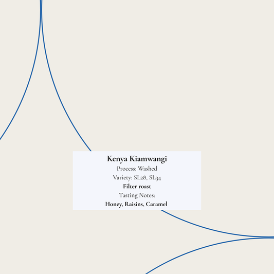 Kenya Kiamwangi filter roast — washed SL28 and SL34, tasting notes honey, raisins, caramel.
